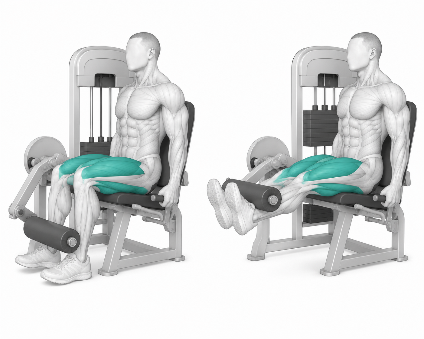 leg extensions