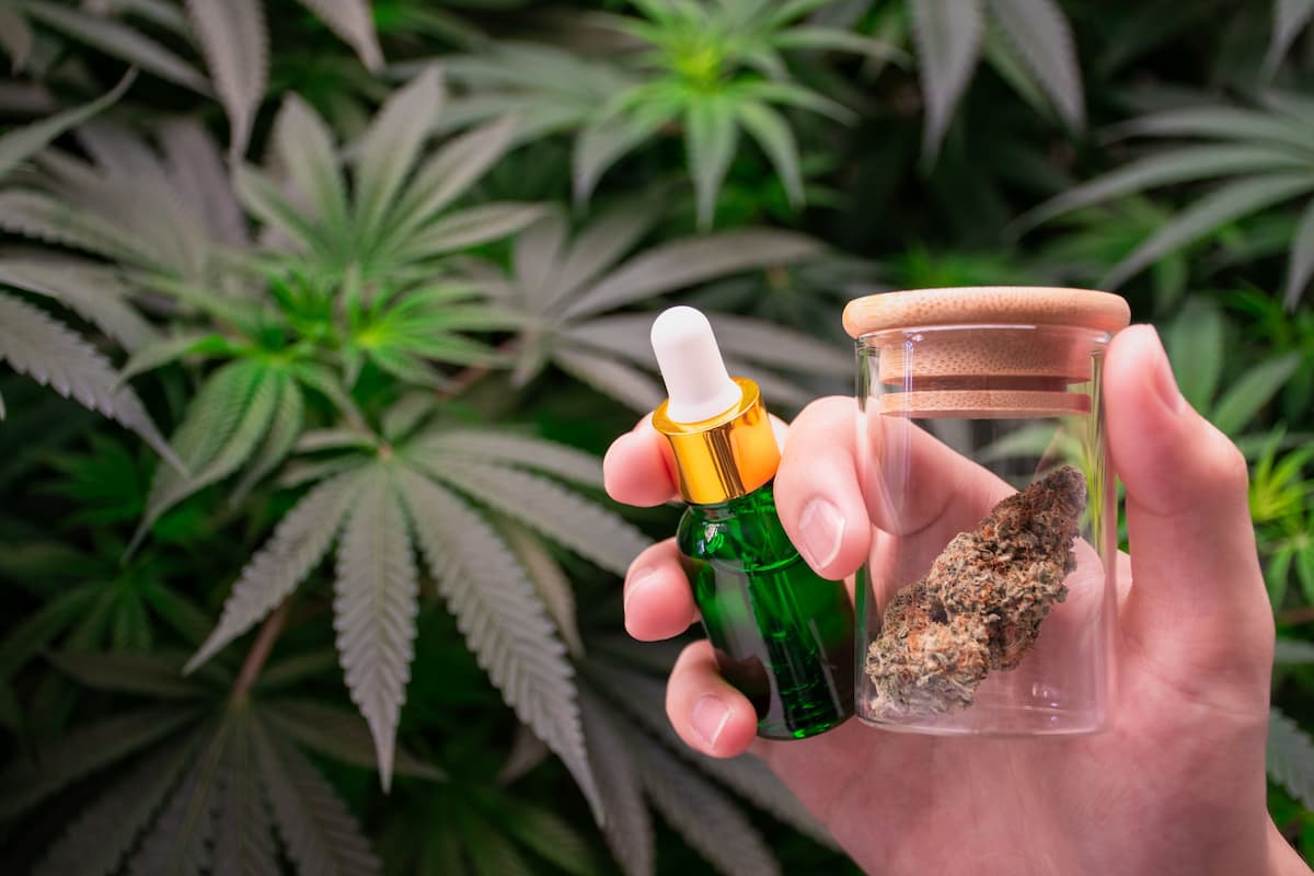 Can you buy CBD online legally in the UK?