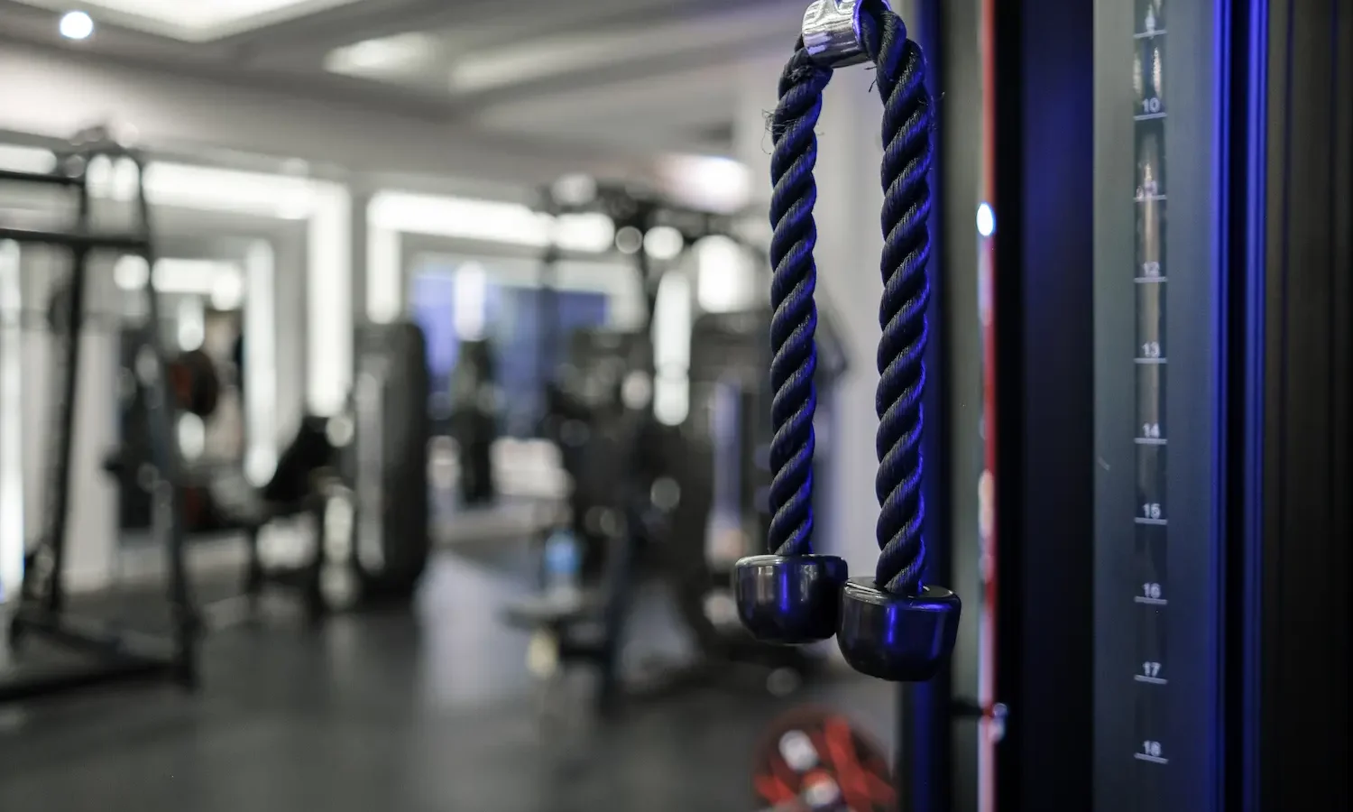 Cable Deadlift: How to Do It, Muscles Worked & Common Mistakes