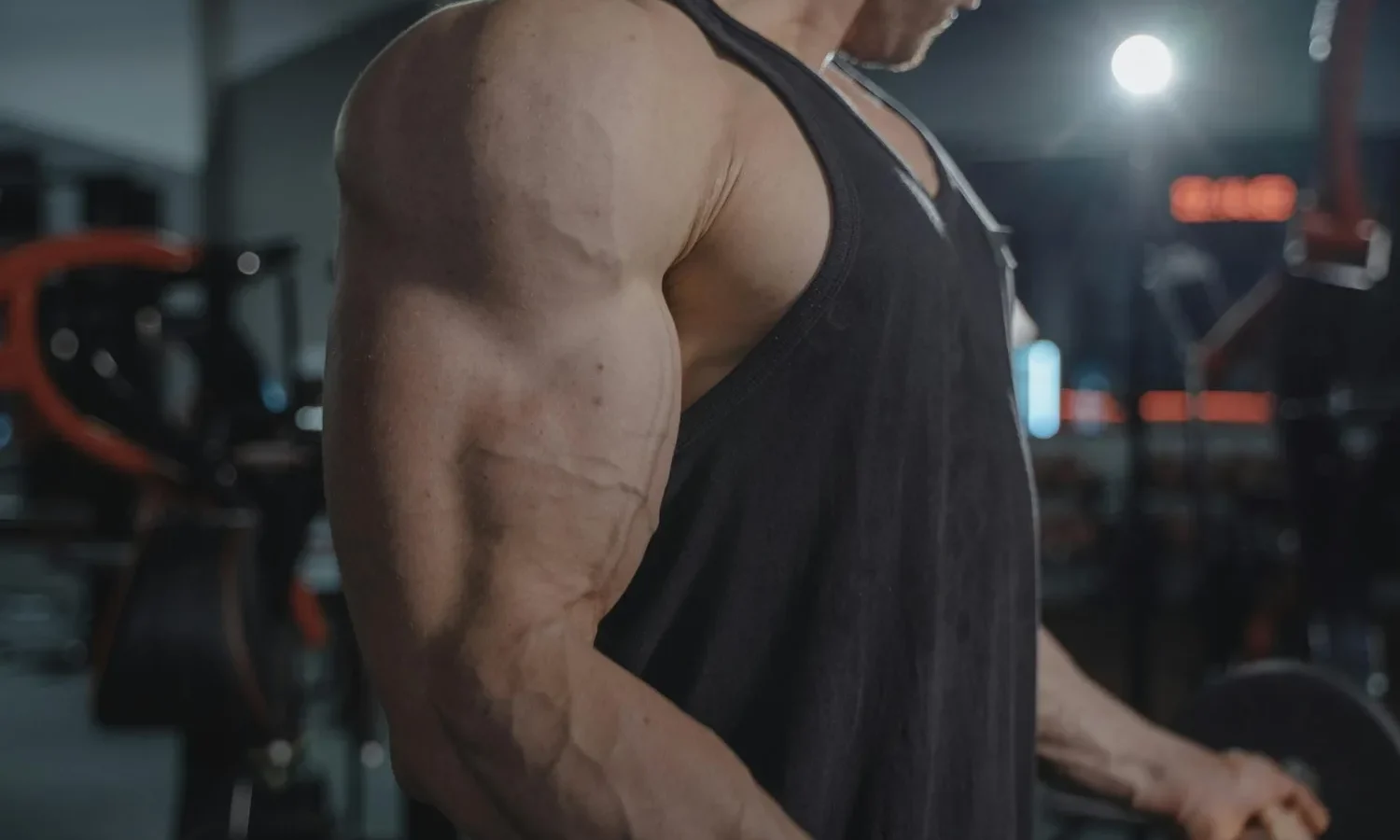 Triceps : comment les muscler efficacement à la maison et en salle